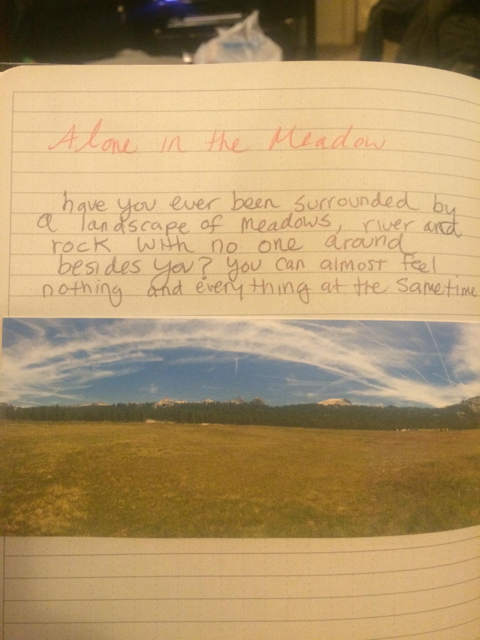 Alone in the Meadow | Education